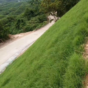 三维植被网