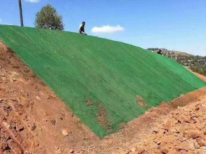 三维植被网施工