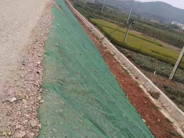 三维植被网施工