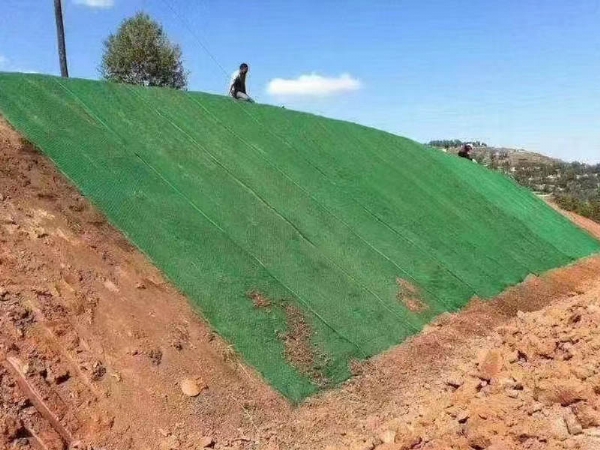 三维植被网施工