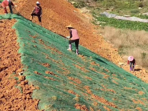 三维植被网施工