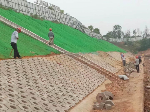 三维植被网施工