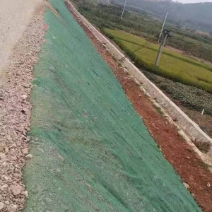 三维植被网施工