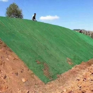 三维植被网施工