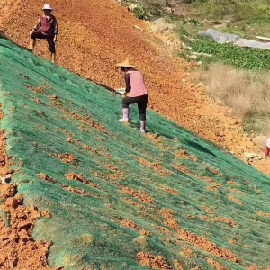 三维植被网施工