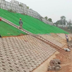 三维植被网施工